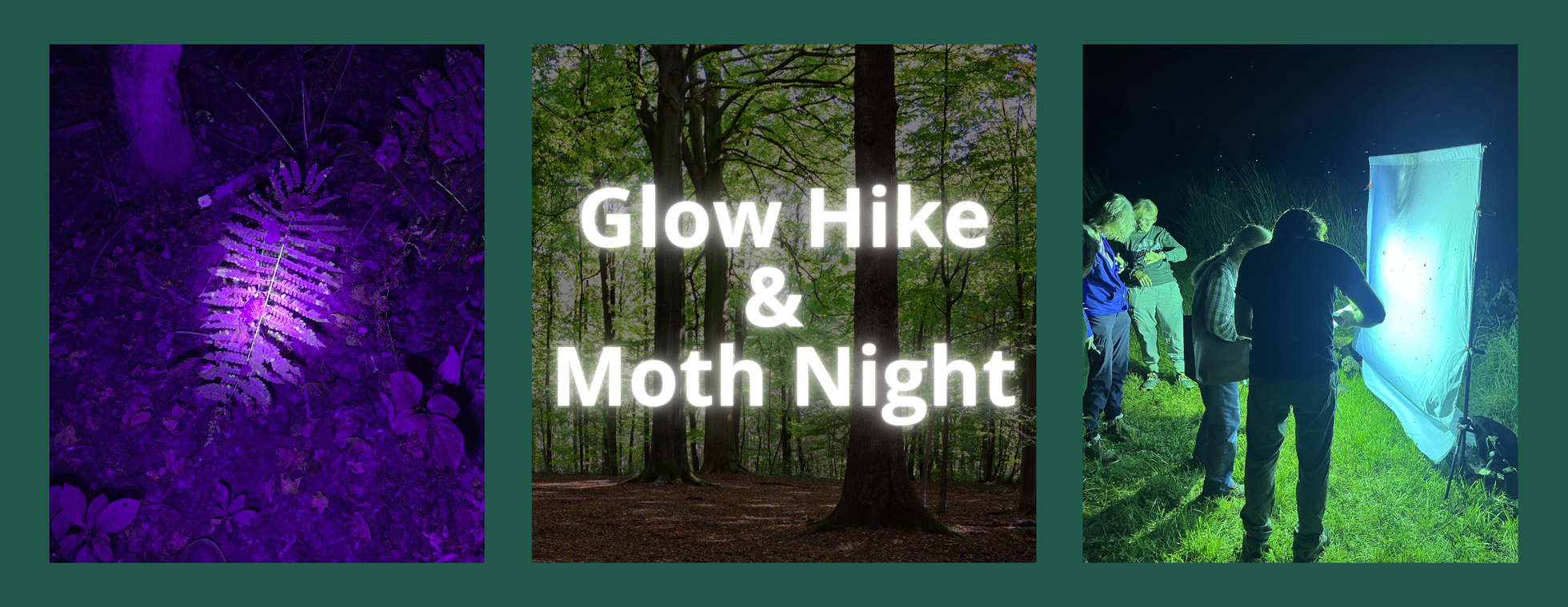 Glow Hike & Moth Night