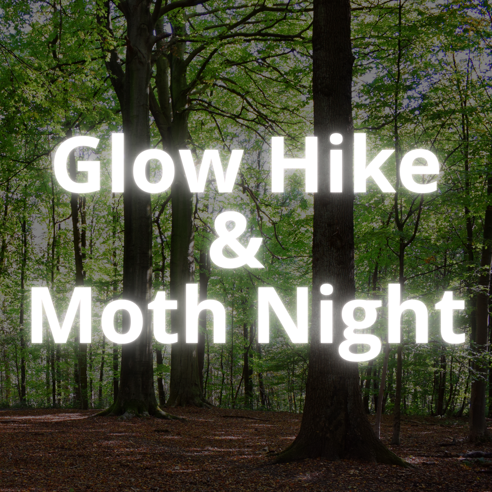 Glow Hike & Moth Night - logo